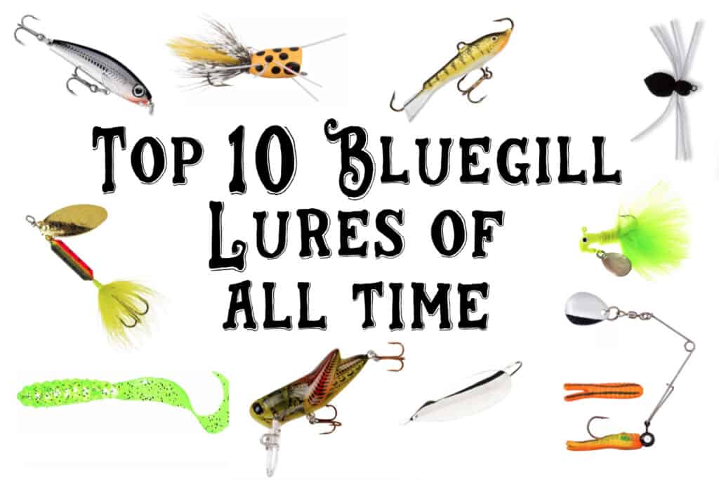 The Top 10 BEST Lures For Bluegill (W/Tips!) • Panfish Nation