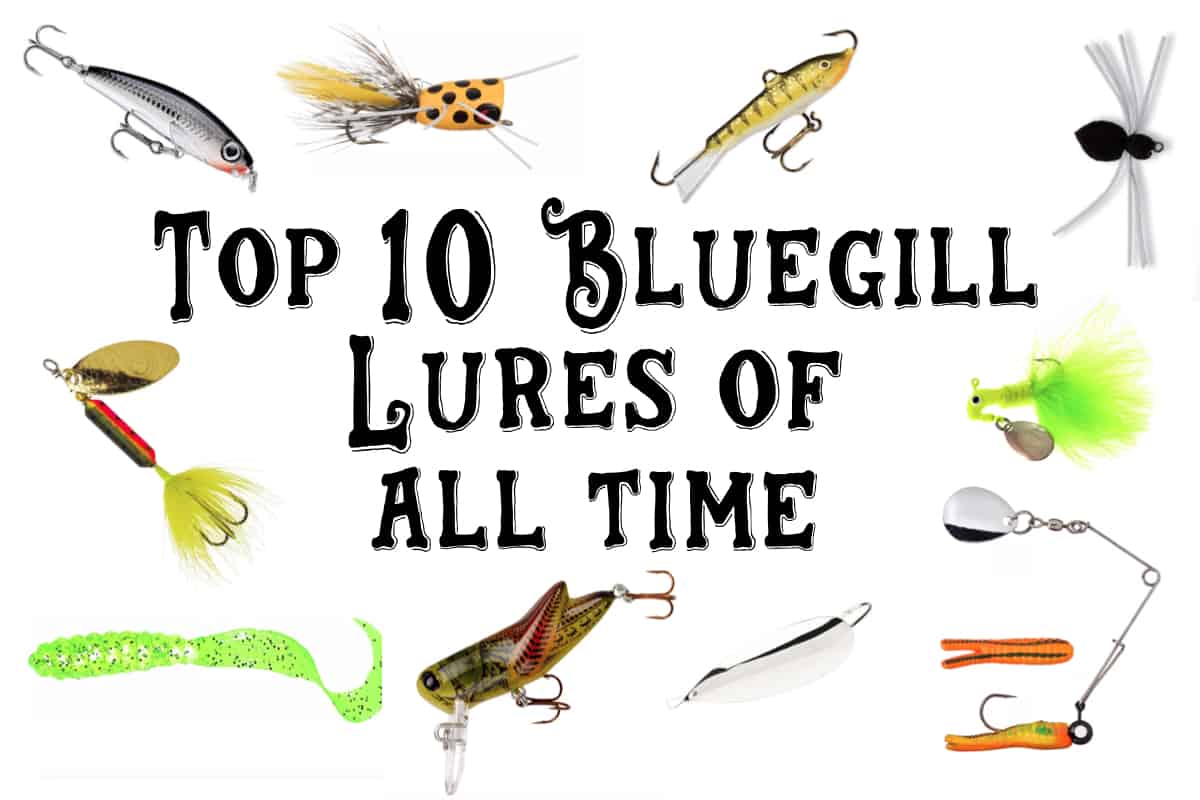 The Top 10 BEST Lures For Bluegill (W/Tips!) • Panfish Nation