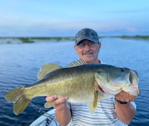 Alabama Rigs Know This Before Trying One! • Panfish Nation