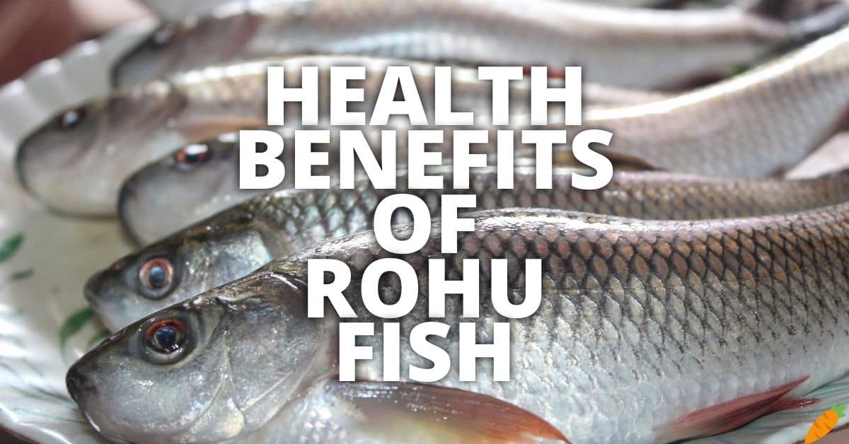 11 Potential Health Benefits Of Rohu Fish