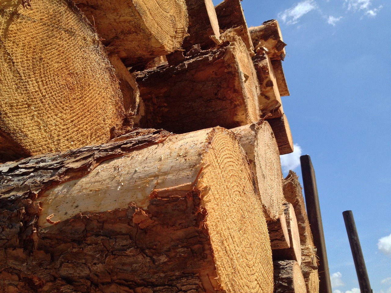 A Comprehensive Analysis of Wholesale Timber Flooring