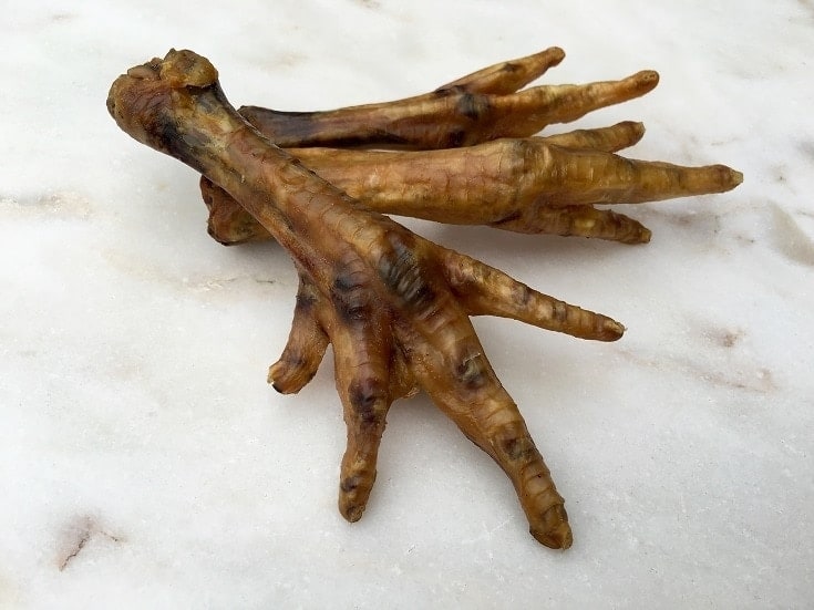 Are Chicken Feet Good for Dogs? What Do I Do if They Eat One? Pango Pets