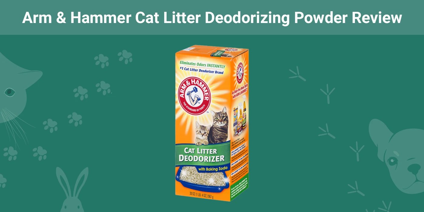 Arm & Hammer Cat Litter Deodorizing Powder Review 2024 PangoVet