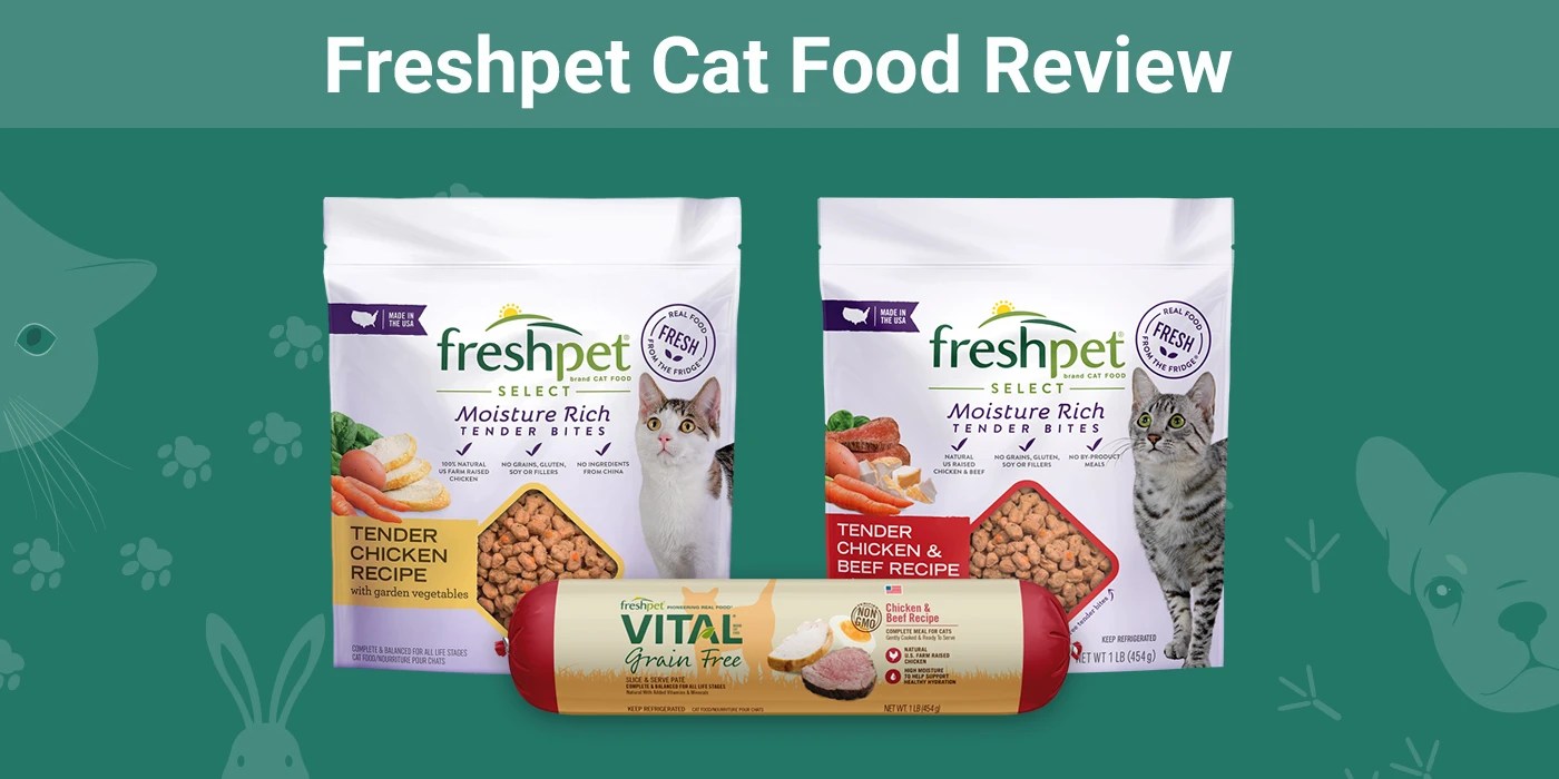 Freshpet Cat Food Review 2024 Recalls, Pros & Cons PangoVet