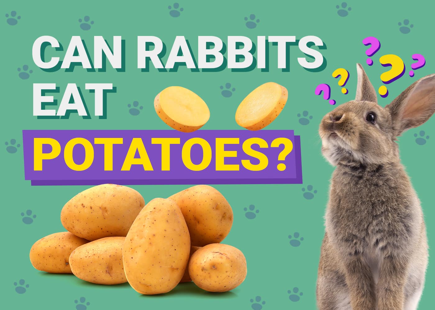 Can Rabbits Eat Potatoes? VetReviewed Facts & FAQ PangoVet