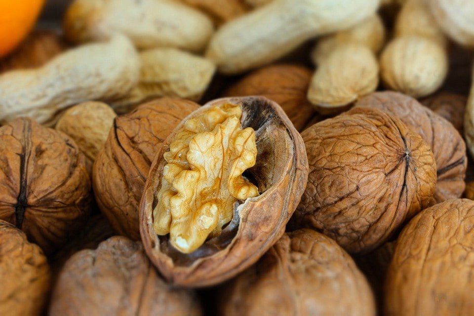 Can Hamsters Eat Walnuts? VetApproved Nutritional Science & Info