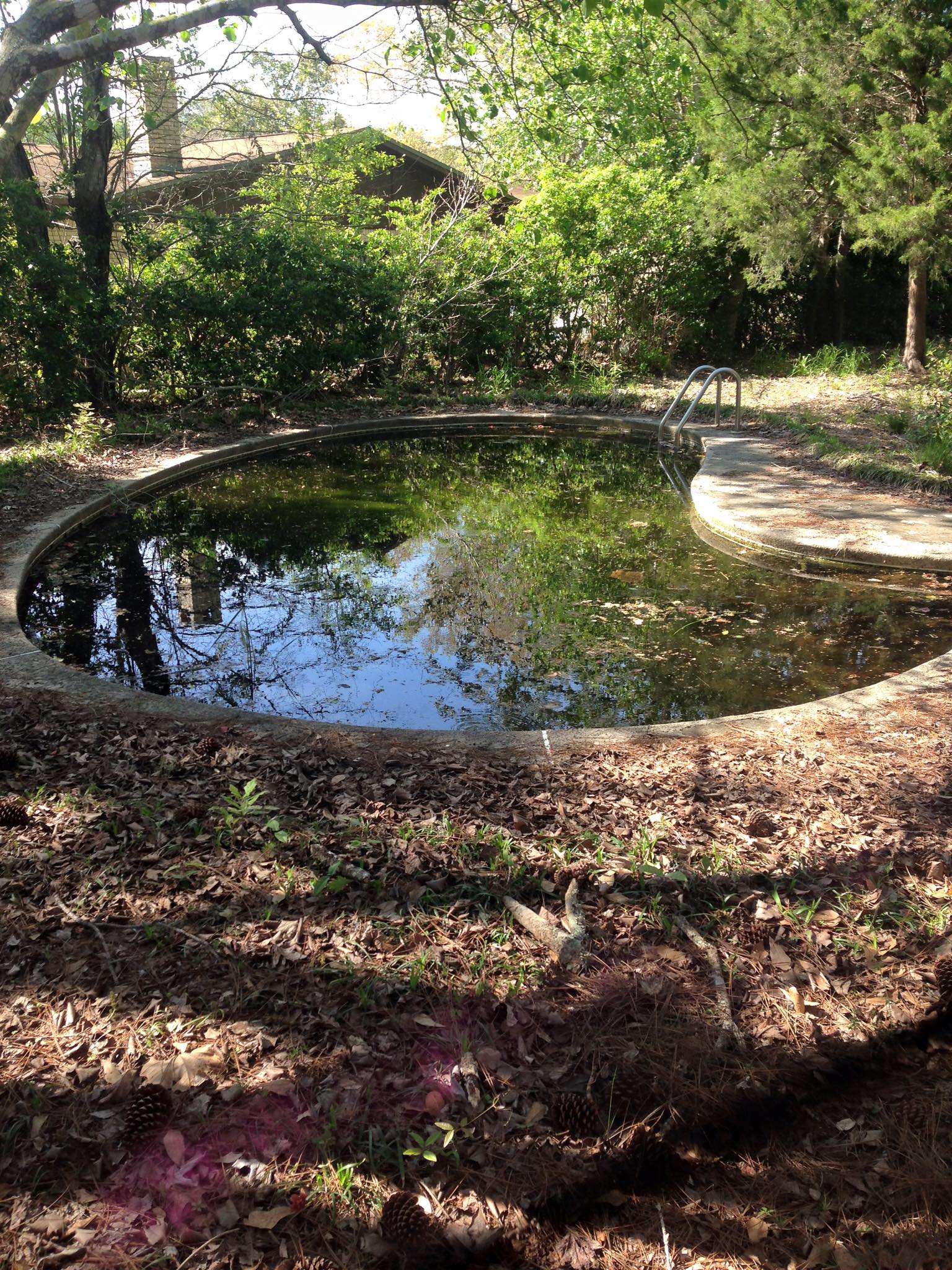 Gallery Panhandle Pools