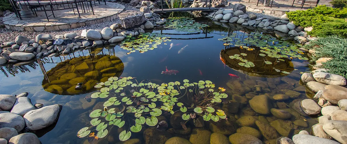 Discover The Must Have Pond Treatments For An Aesthetic And Healthy