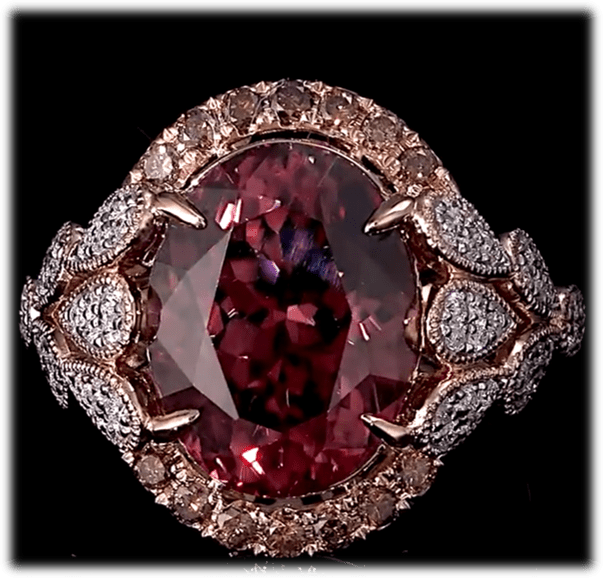 Purple Ring Panin Visual Technologies