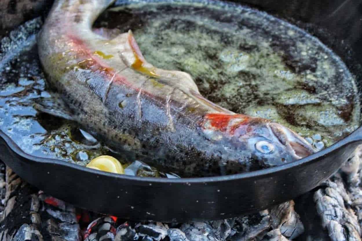 34 Best Cast Iron Fish Recipes to Try