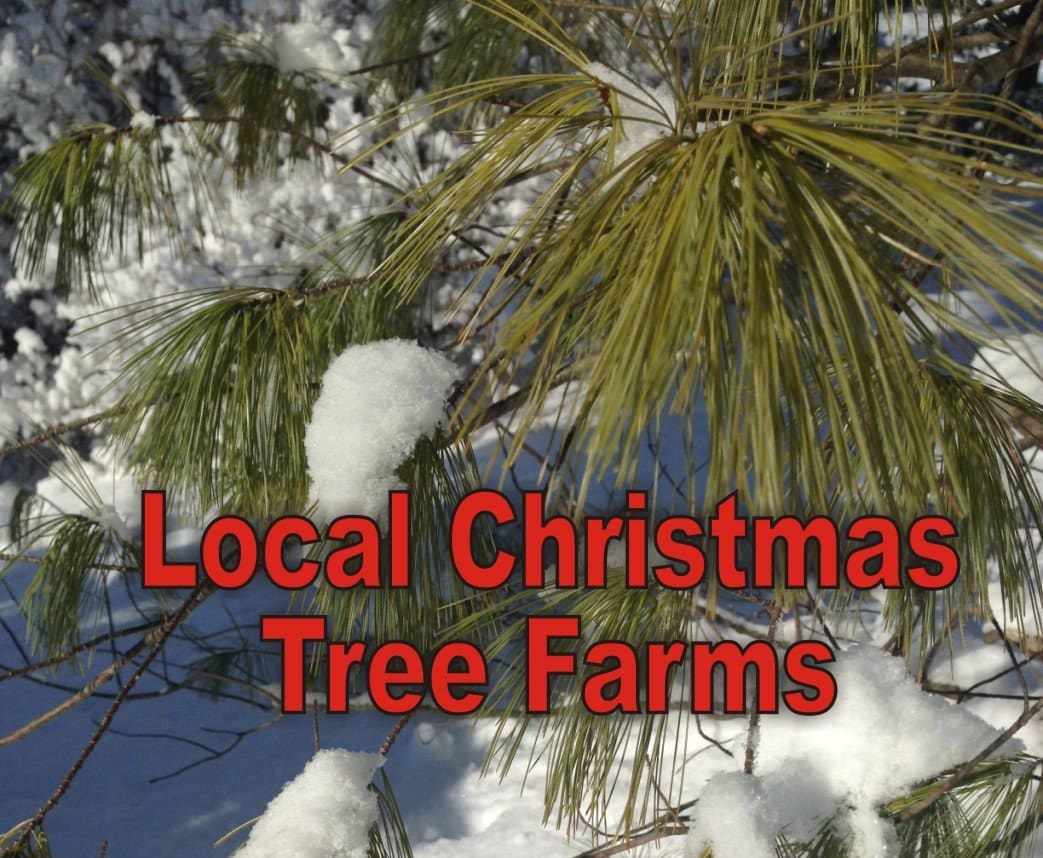 Bozak Family Christmas Light Show Adds More Lights In 2023