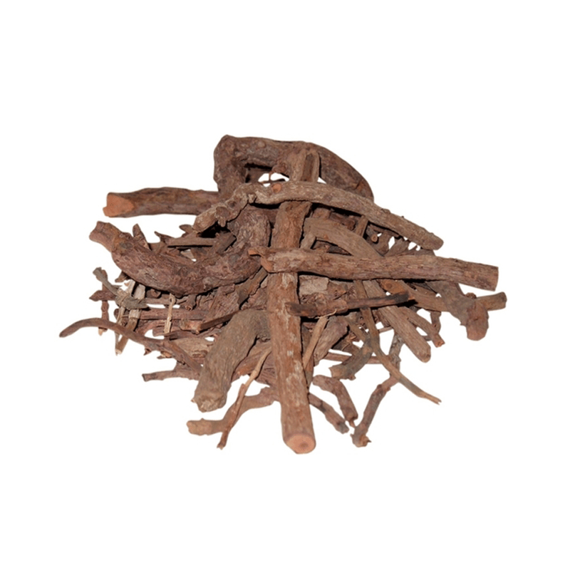 Buy Root Ratan Jot Onosma Echioides Linn رتن جوت in Pakistan
