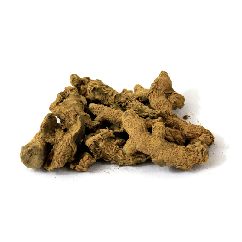 Buy Bitter Ginger Narakchur Zingiber Zerumbet نرکچور in Pakistan