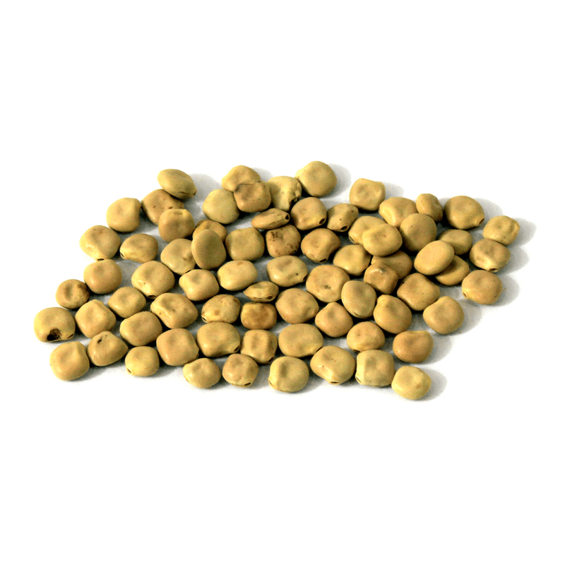 Buy White Lupin Tarmas Lupinus Albus Linn ترمس in Pakistan