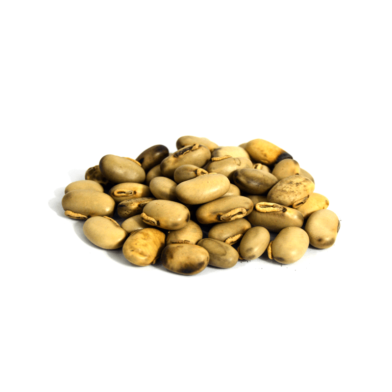 Buy Velvet Bean Konj Safaid Mucuna pruriens کونج سفید in Pakistan