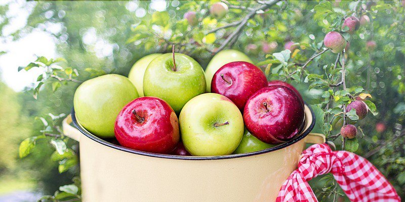 How Long Do Apples Last? Keep Them Fresh & Crisp Pantry Tips