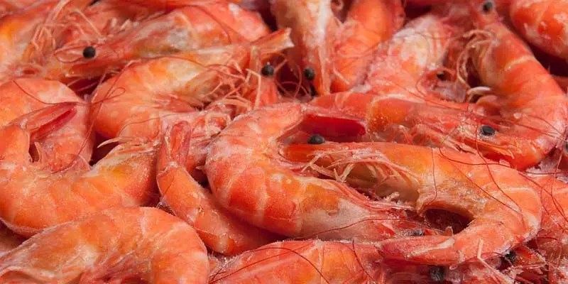 Can You Freeze Prawns? Freezing Guide – Pantry Tips