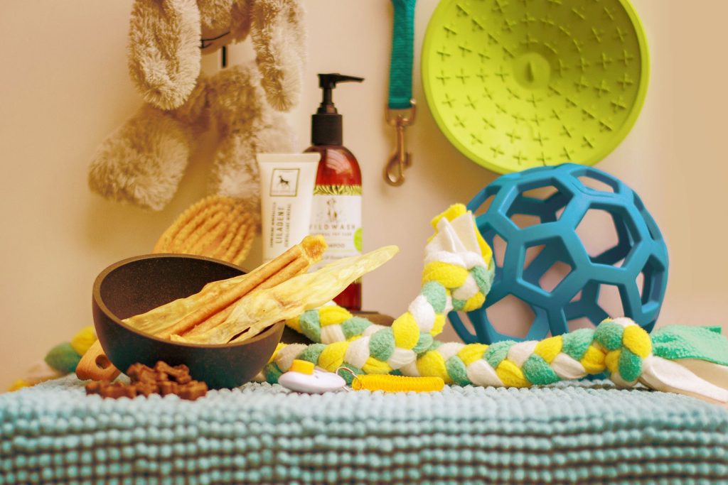 7 Tips For At Home Dog Grooming Pant the Town Photography