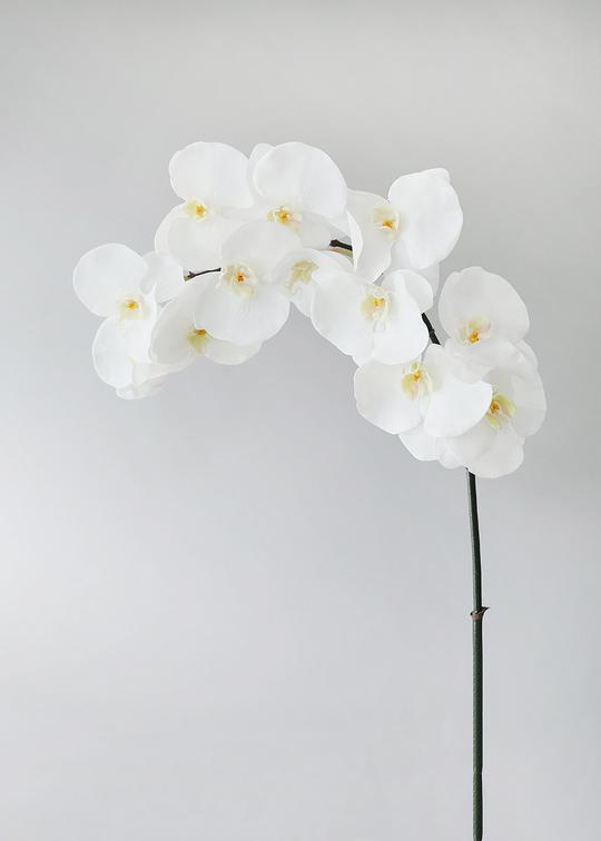 White Real Touch Fake Orchids 44″ Panysilkny