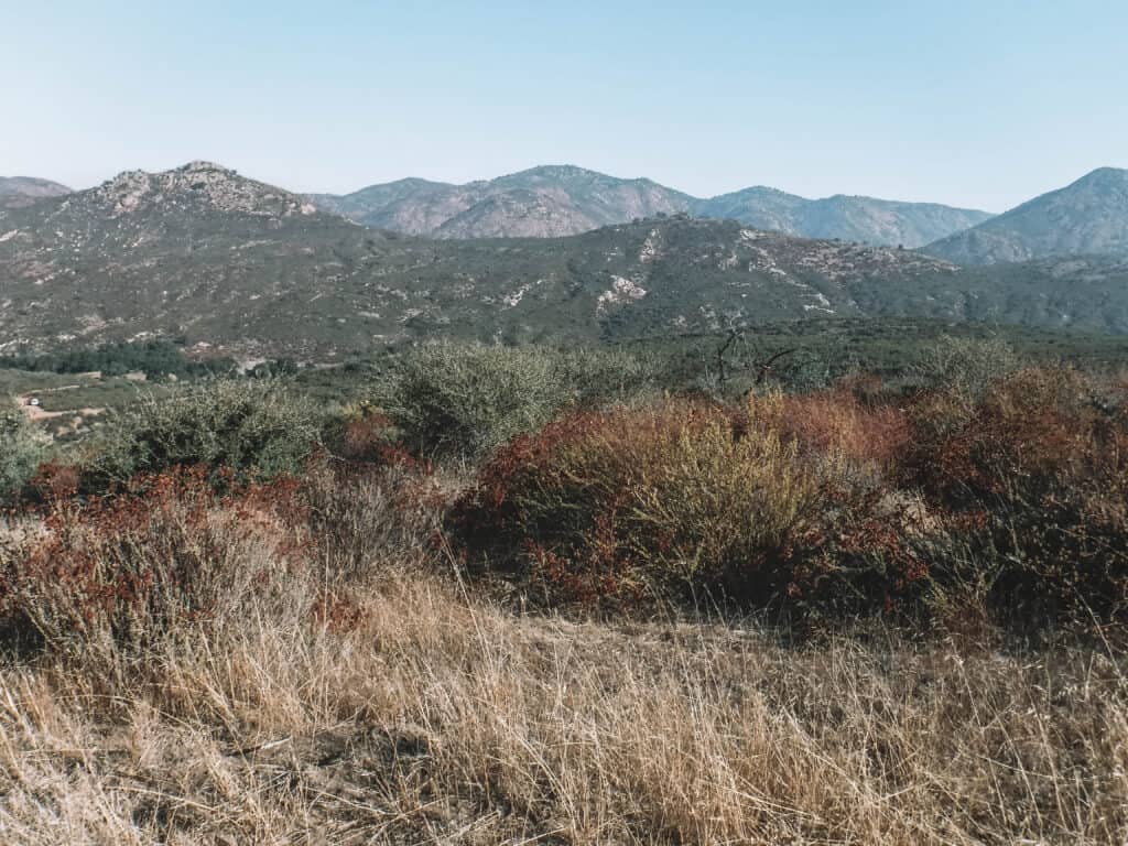 18 Julian Hikes For Every Ability + 3 Bonus Hiking Areas! PA on Pause