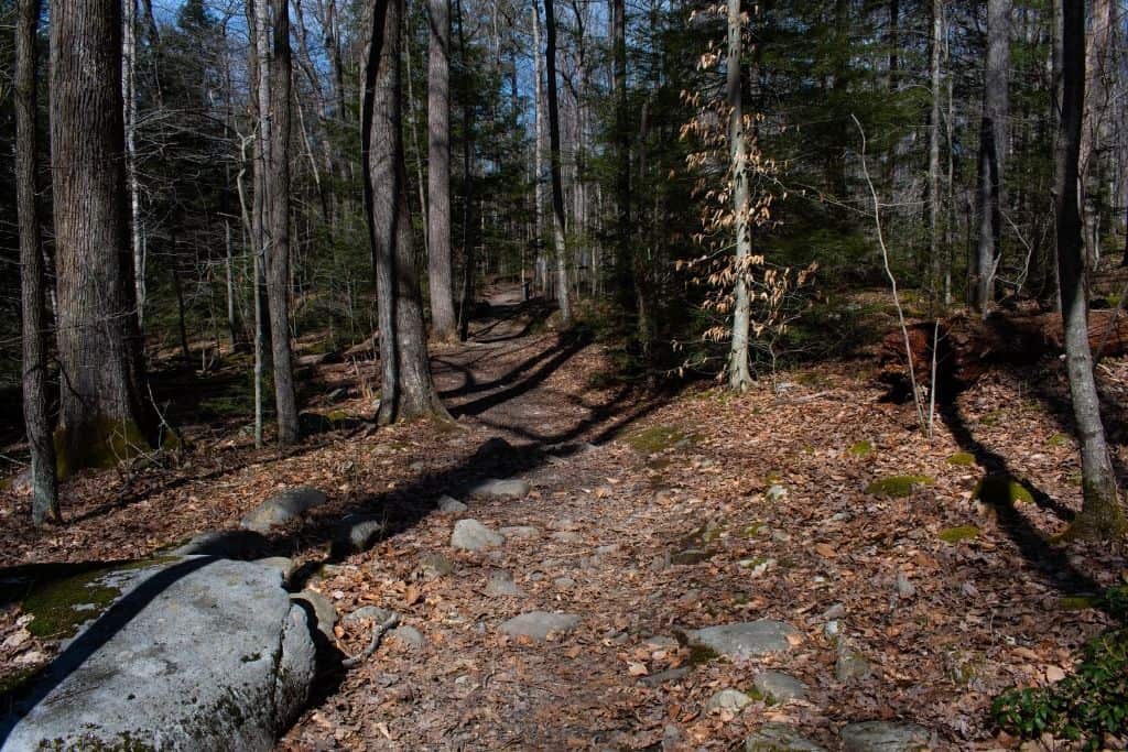 Things to do in Ohiopyle State Park The Ultimate Adventure Guide PA