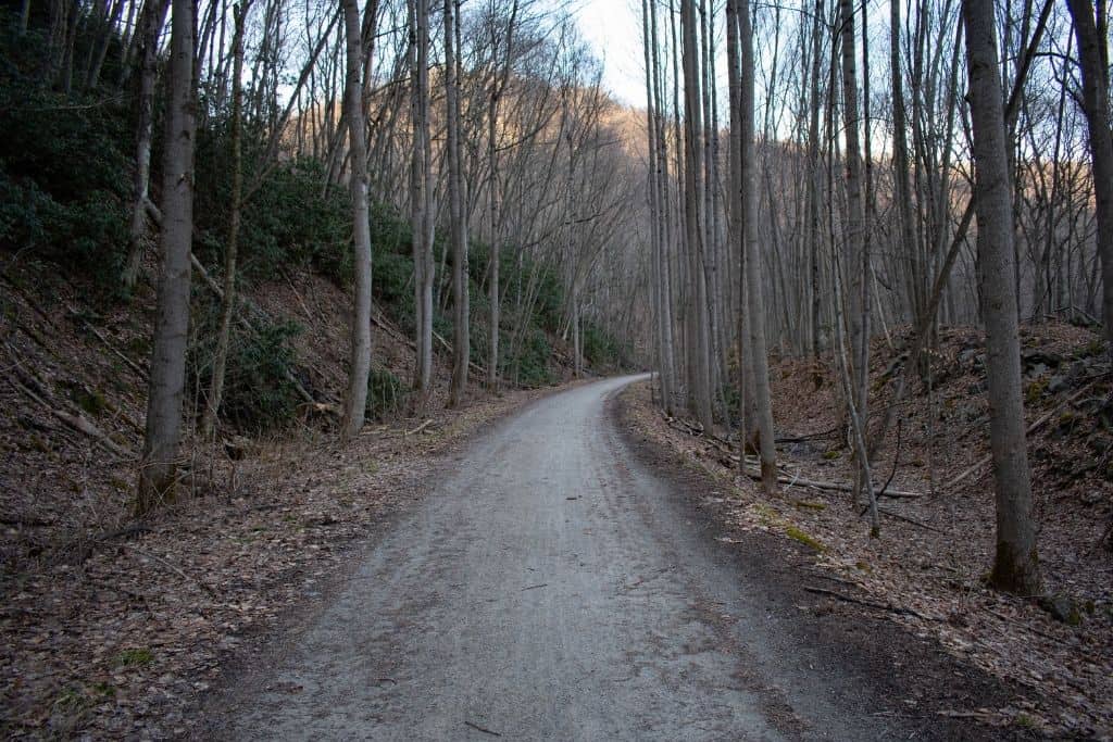 Ohiopyle Bike Trail Rides Where to Explore on 2 Wheels from Long