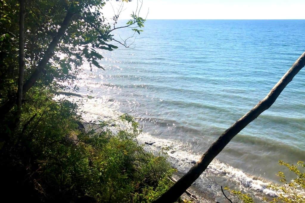 All You Need to Know About Erie Bluffs State Park Hiking Trails and