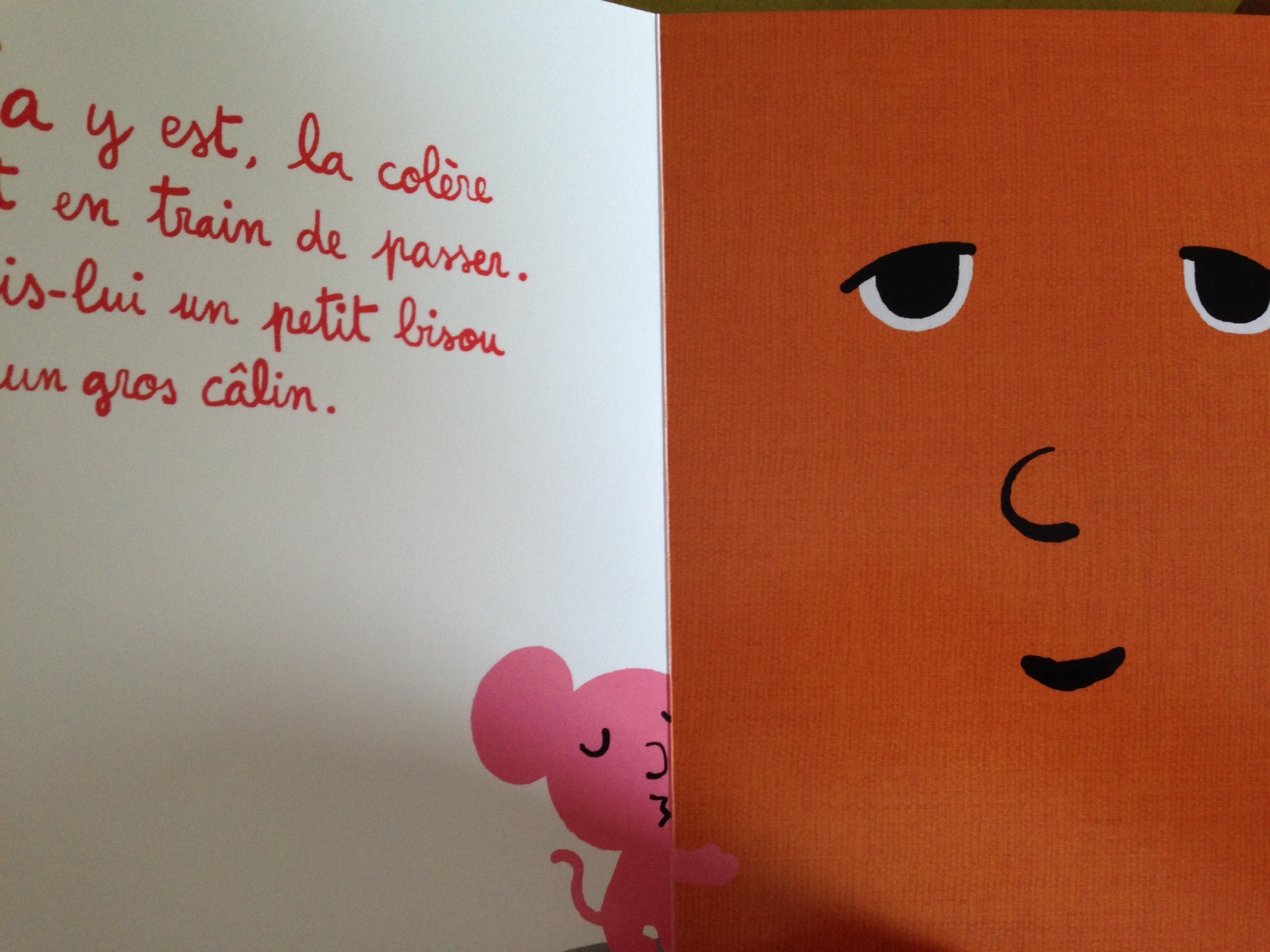 Le livre en colère ! Pour aider les enfants à la surmonter