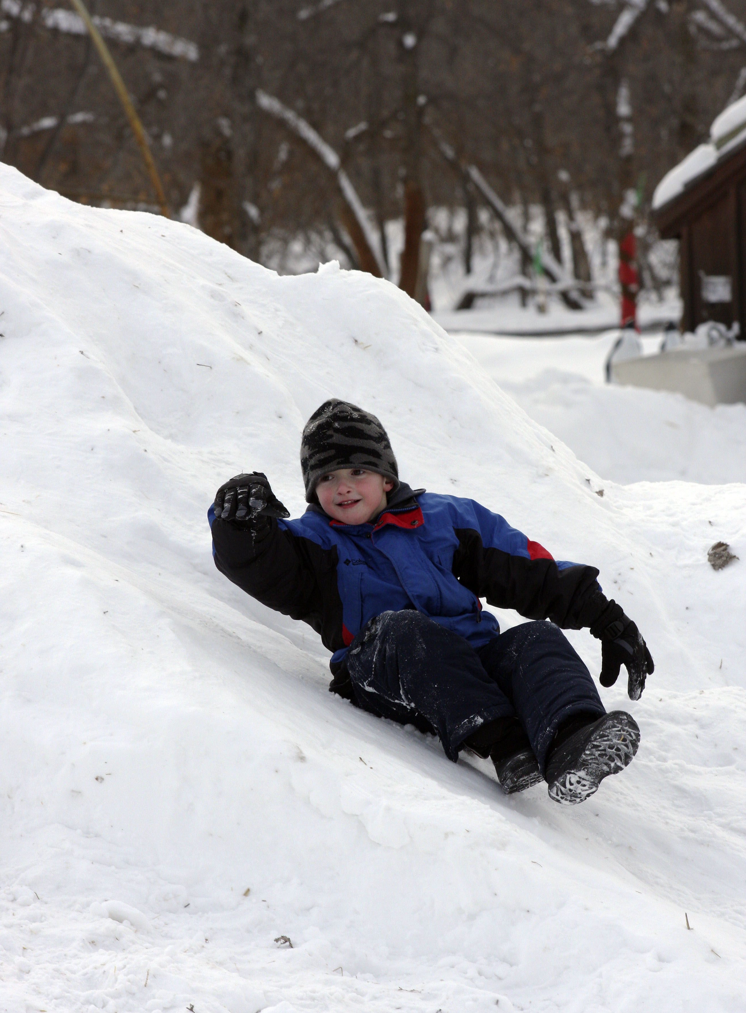 boy sliding down hill Papa's Pumpkin Patch
