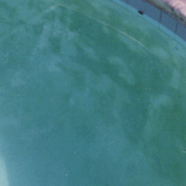 How to identify and remove pool stains.