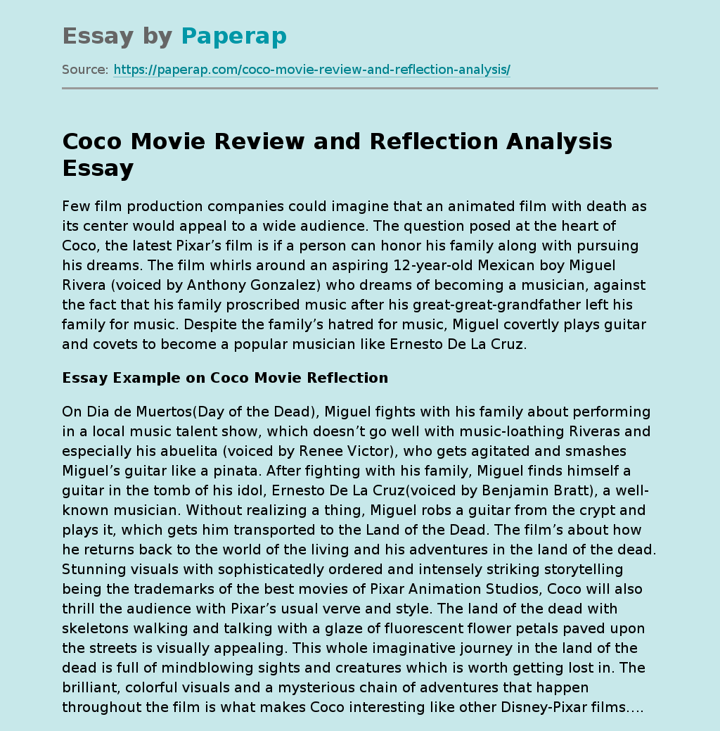 Coco Movie Review and Reflection Analysis Critical Analysis Essay Example