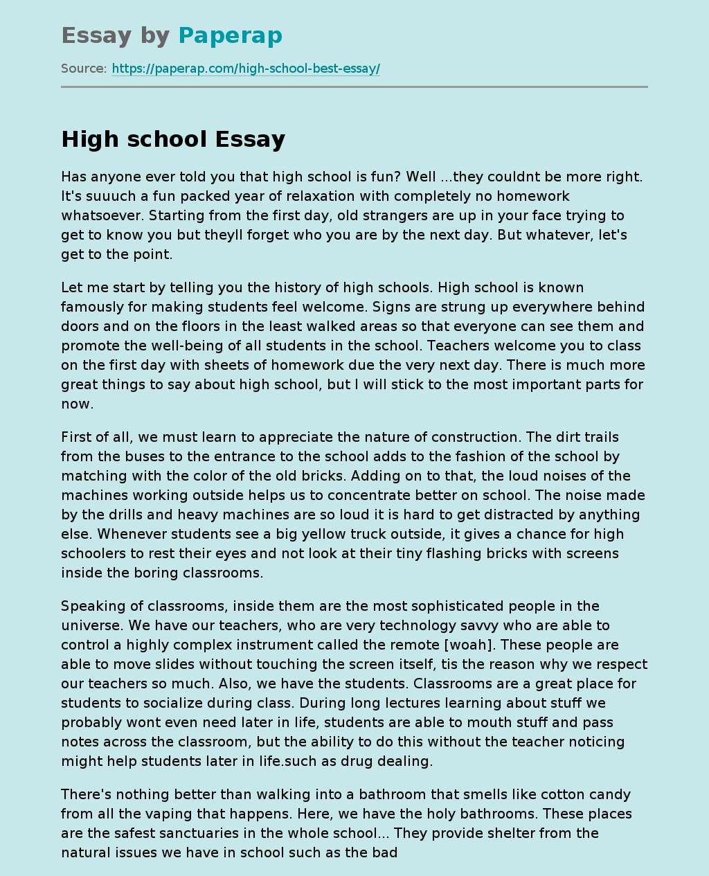 High School Funpacked Experience Free Essay Example