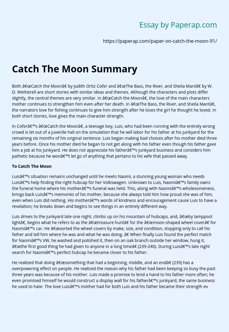 Catch The Moon Summary Free Essay Example