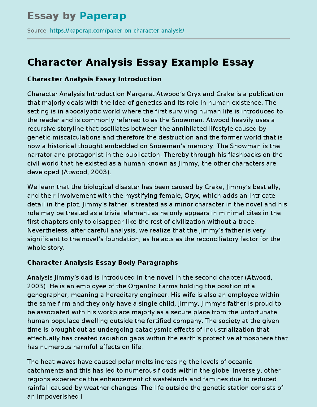 Character Analysis Essay Example Free Essay Example
