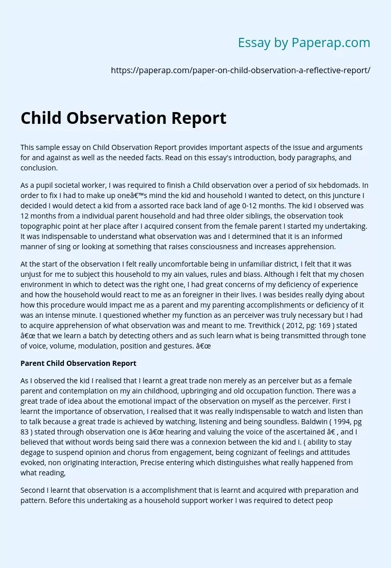 Child Observation Report Essay Sample