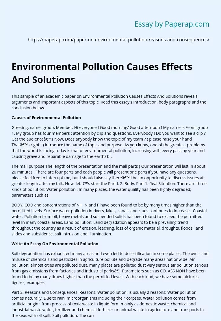 Environmental Pollution Causes Effects And Solutions Free Essay Example
