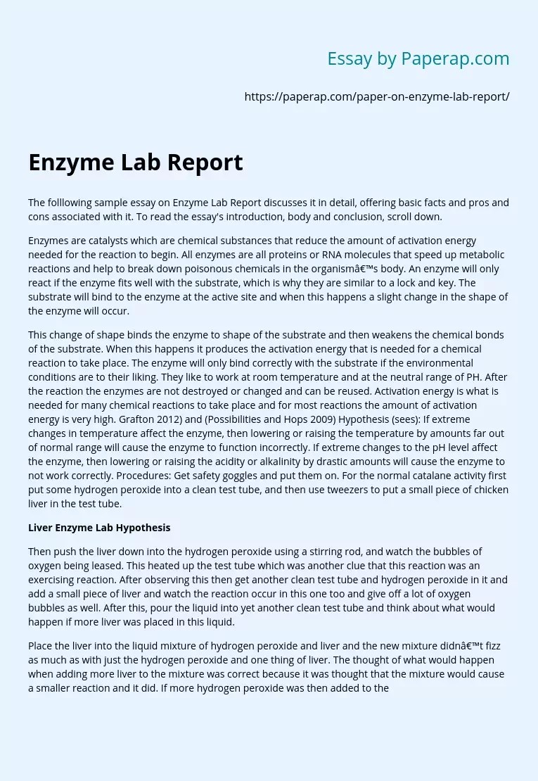 Enzyme Lab Report Pros and Cons Free Essay Example