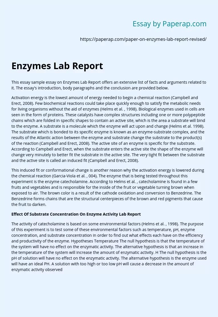 Enzymes Lab Report Essay Example