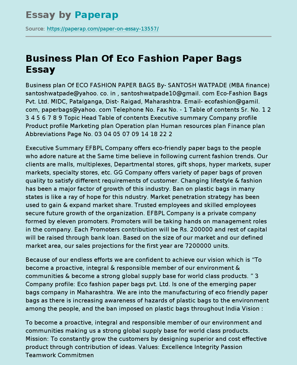 Business Plan Of Eco Fashion Paper Bags Proposal Essay Example