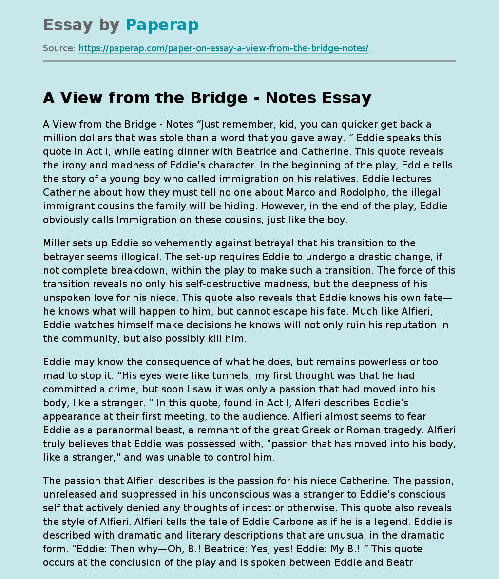 A View from the Bridge Notes Free Essay Example