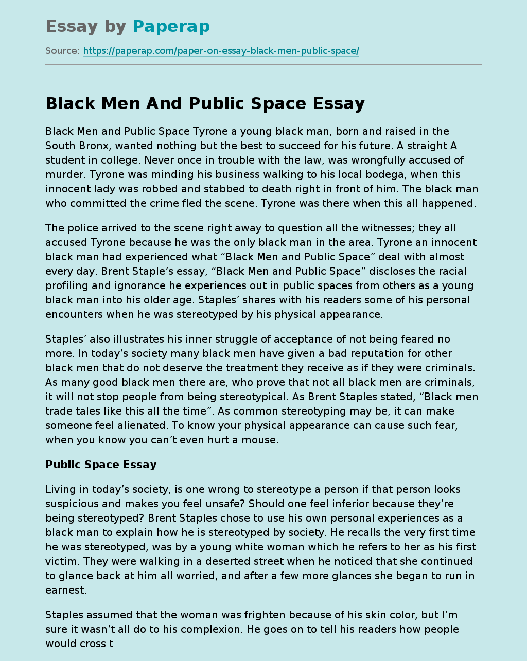 Black Men And Public Space Free Essay Example
