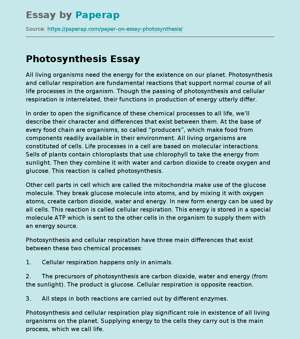 What Is Photosynthesis? Free Essay Example