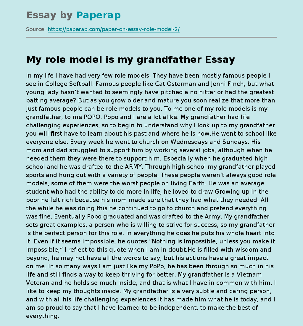 Role Model Essay Example