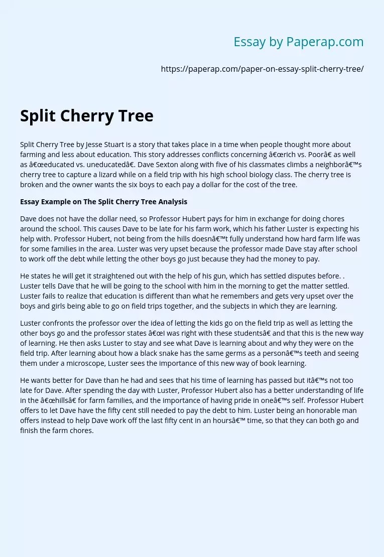Split Cherry Tree by Jesse Stuart Story Analysis Summary Essay Example