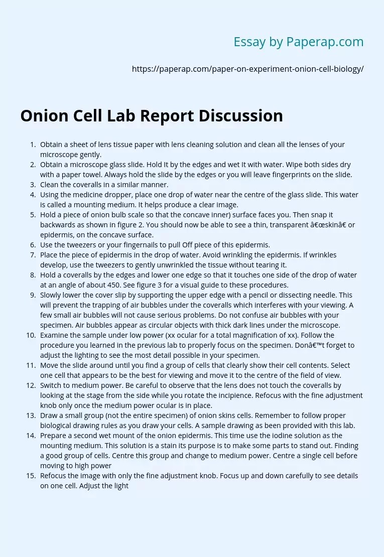 Onion Cell Lab Report Discussion Report Conclusion Essay Example