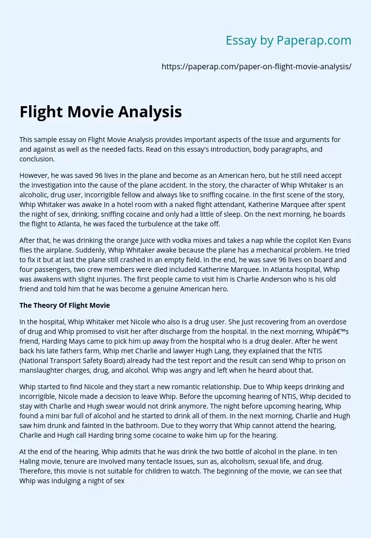 Flight Movie Analysis Free Essay Example