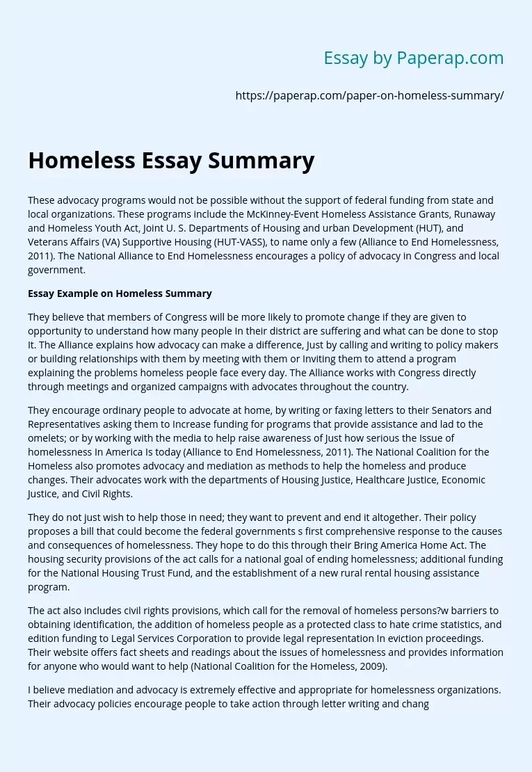 Homeless Essay Summary Free Essay Example