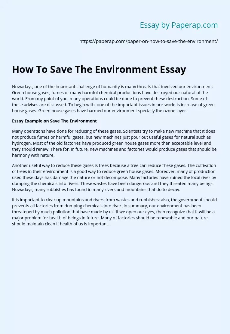 How To Save The Environment Essay Free Essay Example
