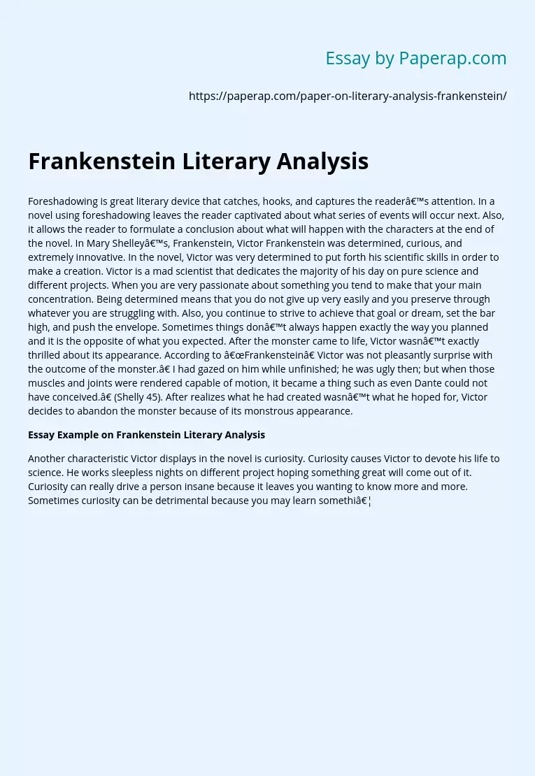 Frankenstein Literary Analysis Free Essay Example