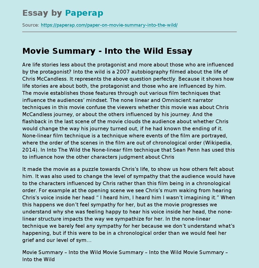 Movie Summary - Into the Wild Free Essay Example